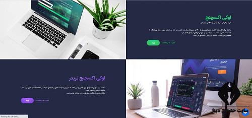 ورود به سایت ok-ex.io